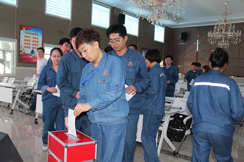 科邁化工股份有限公司黨支部圓滿完成換屆選舉工作！